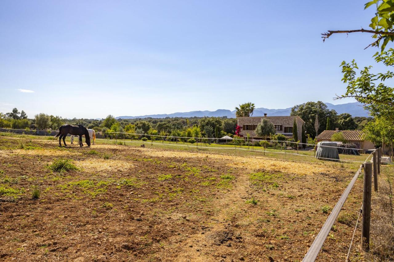 Cas Moreu 454 Villa Llubi